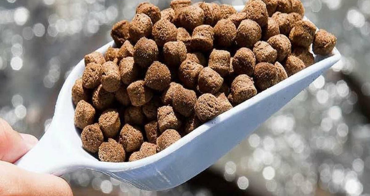 KAMAHU_FishfarmingSoftware_Feedings KAMAHU_FishfarmingSoftware_Feedings