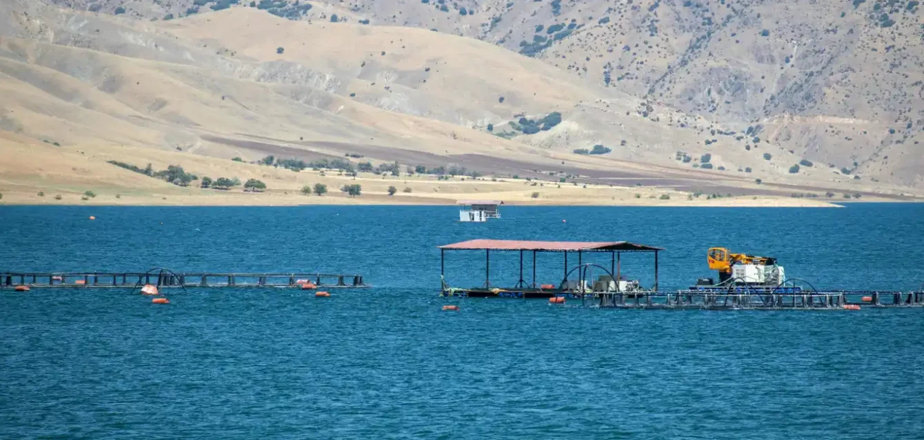 KAMAHU_FarmControl_PertekTunceliTürkiye Cages in Turkey