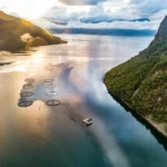 Aerial view of salmon sea cages in a Norwegian fjord at sunrise.