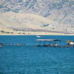 Cages in Turkey